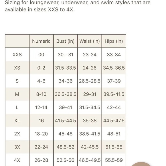 (A8) SKIMS Logo Mesh Cheeky Bikini Panties, Size 4X, NWT - Picture 9 of 9